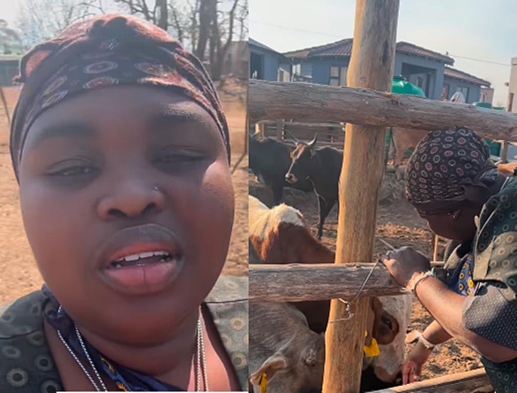 Gogo Maweni goes cattle shopping