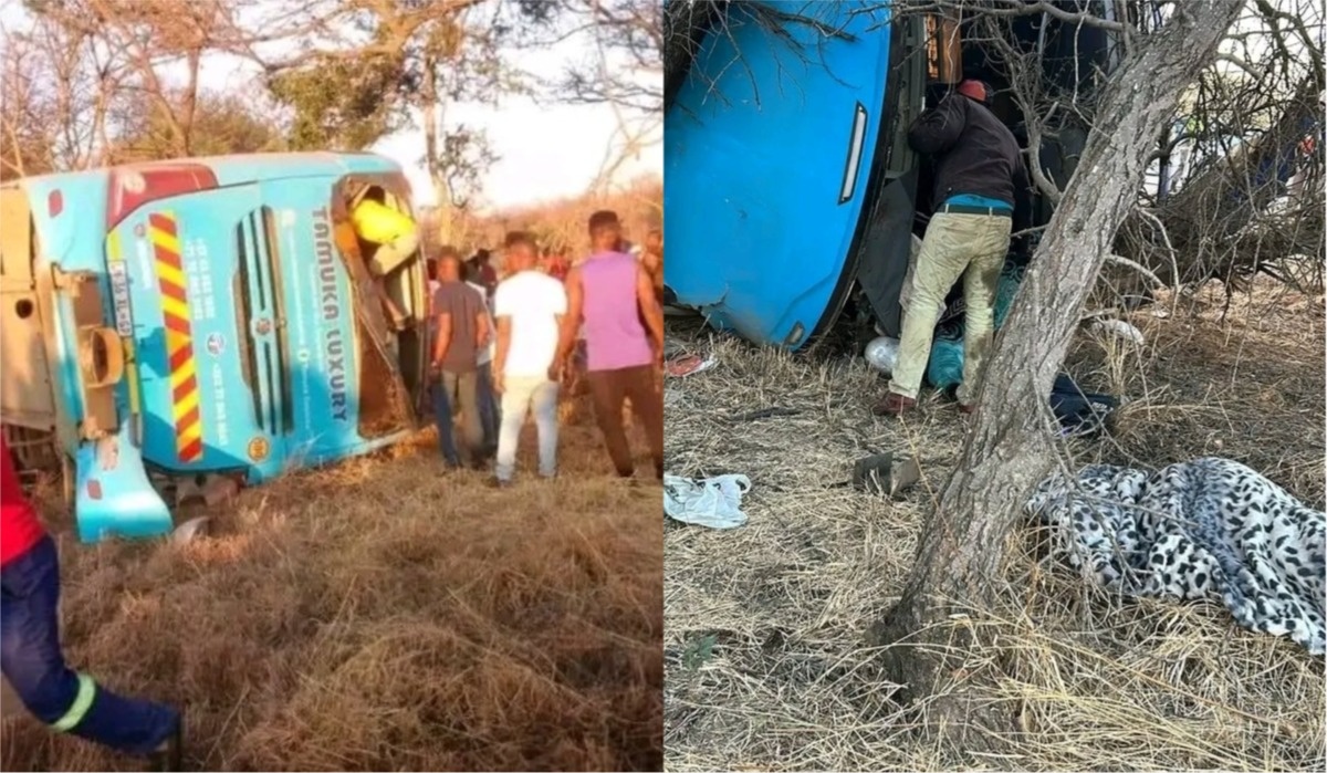 Five People Dead After Zimbabwe-Bound Tamuka Luxury Bus Is Involved in an Accident in Mzansi: South Africans Spark Conspiracy Theories