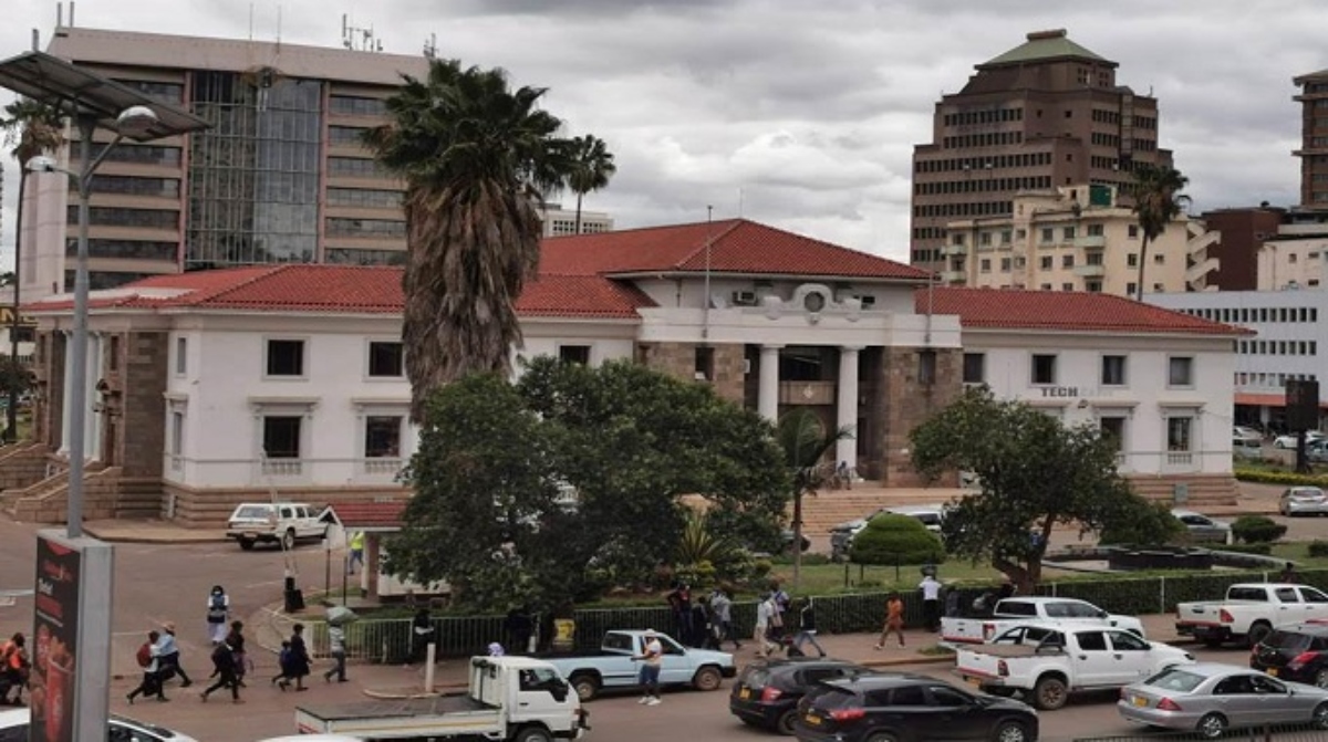 Harare City Council Cattle