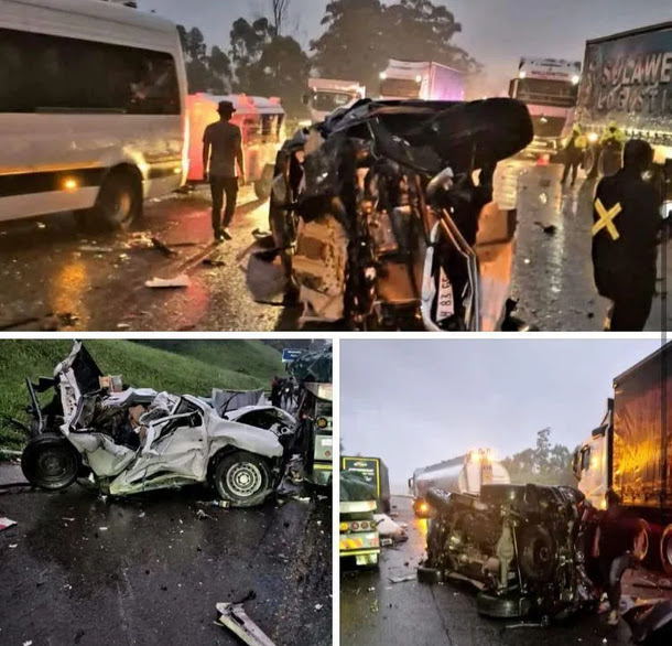 Zim Truck Driver Crashes Into Six Cars In SA, Dies – Eduzim News