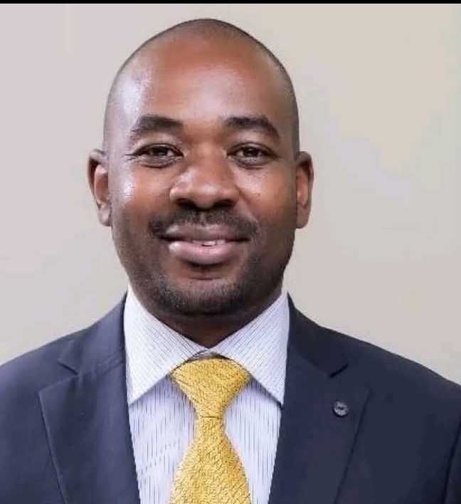 Chamisa Slams Mnangagwa Over Harare Land Saga – Eduzim News