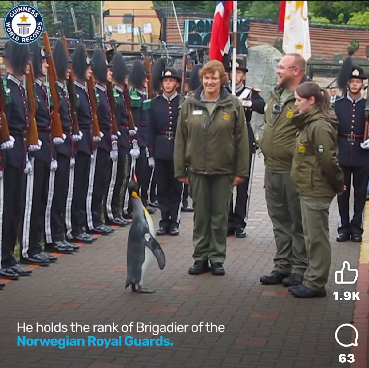 Imagine A Penguin Replacing Valerio Sibanda Inspecting Zim Army – Eduzim News