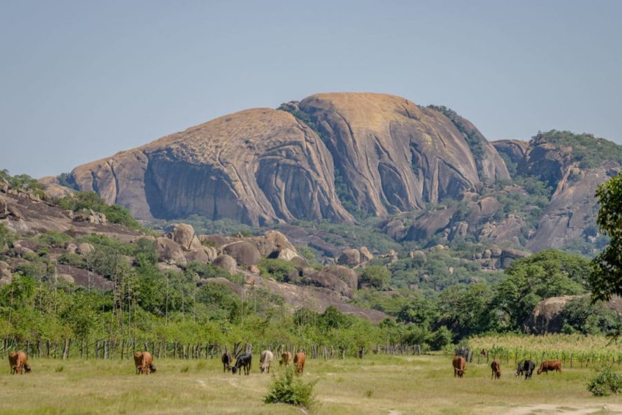 Tourist Goes Missing In Matopos National Park – Eduzim News