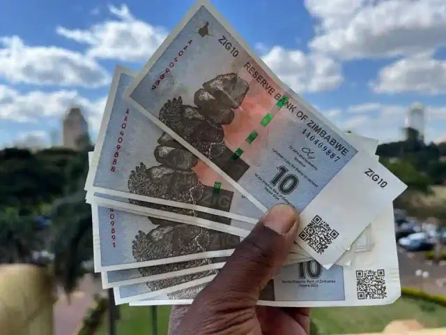 Government Enforces Use Of ZiG Currency – Eduzim News