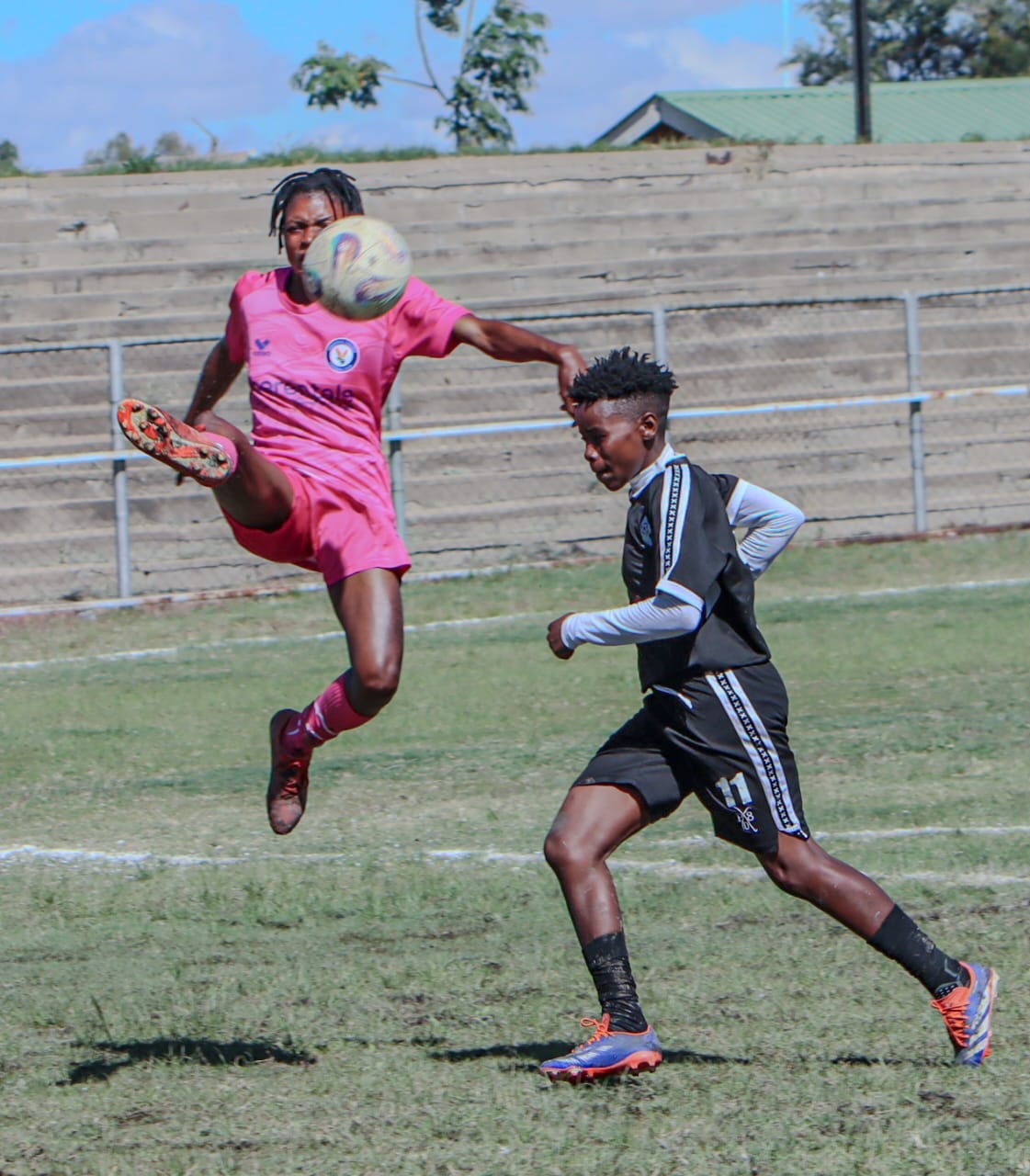 Herentals Queens face Platinum Royals in rescheduled ZWPSL clash