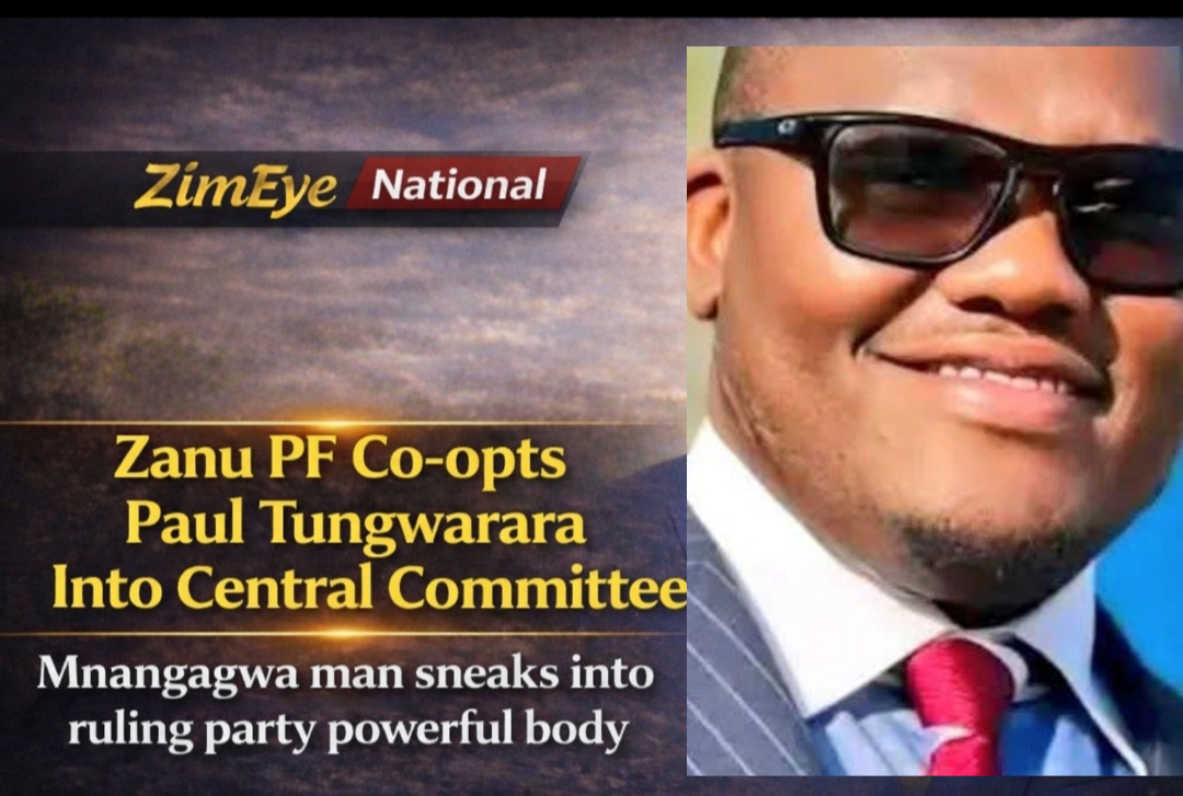 Mnangagwa Advisor Paul Tungwarara Defends Controversial Central Committee Co-option – Eduzim News