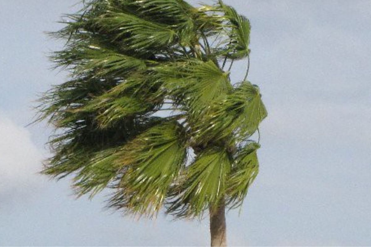 Severe storms with heavy downpours and HAIL expected