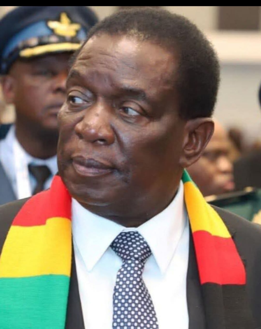 Chinese Miner “Disappears” After Insulting Mnangagwa – Eduzim News