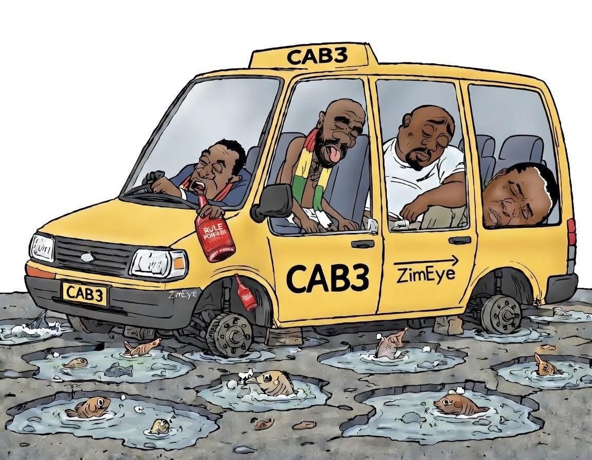 Zimbabwe’s Economy Crashes Upon Hearing Mnangagwa’s Changing Constitution To Appoint Self Life President – Eduzim News