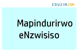 Mapindurirwo eNzwisiso