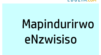 Mapindurirwo eNzwisiso