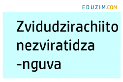 Zvidudzirachiito nezviratidzanguva