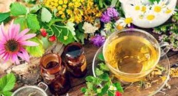 19 Traditional Medicines and their uses (Zimbabwe)