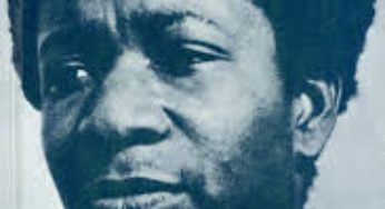 The Lion and the Jewel(Wole Soyinka 1963) novel analysis