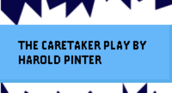 The Care Taker by Harold Pinter analysis