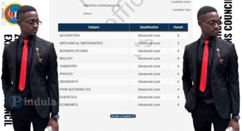 15 points is the highest measure for enrolment: Zimsec comments on Student who scored 50 points