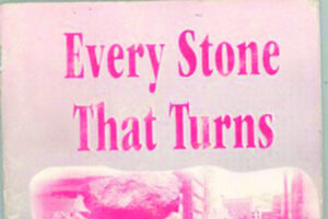 The Snake Never Stirs - Every stone that turns
