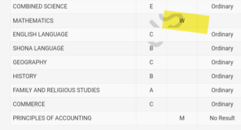 What does W on some of the students’ results mean?