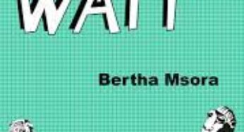 I Will Wait by Bertha Msora Notes