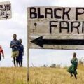 land reform in Zimbabwe