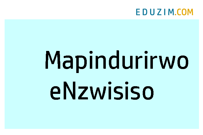 Mapindurirwo eNzwisiso