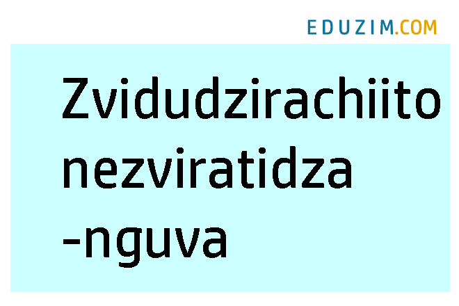Zvidudzirachiito nezviratidzanguva