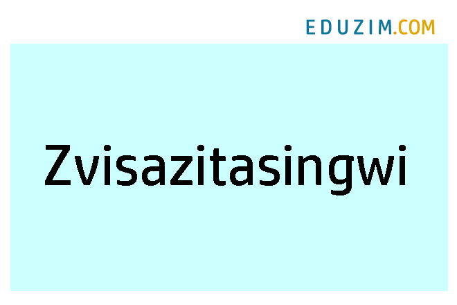 Zvisazitasingwi