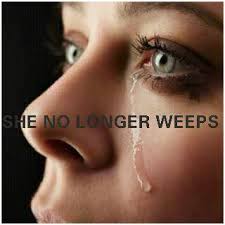She no-longer weeps(Tsitsi Dangarembga) novel analysis 2 She no-longer weeps(Tsitsi Dangarembga) novel analysis