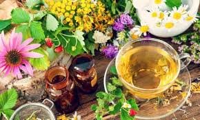 Zim Agriculture: Summary of Topics